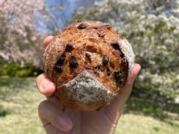 IMG_1836.jpeg